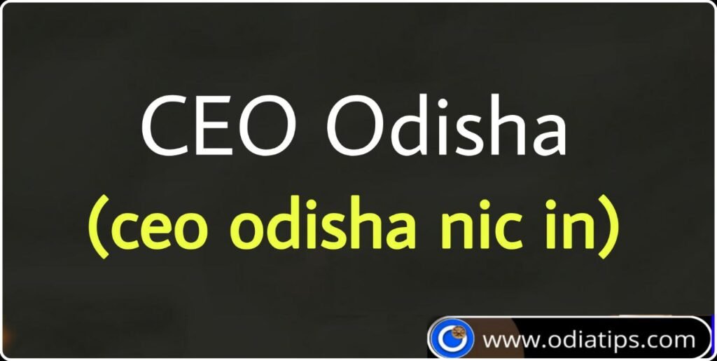 CEO Odisha